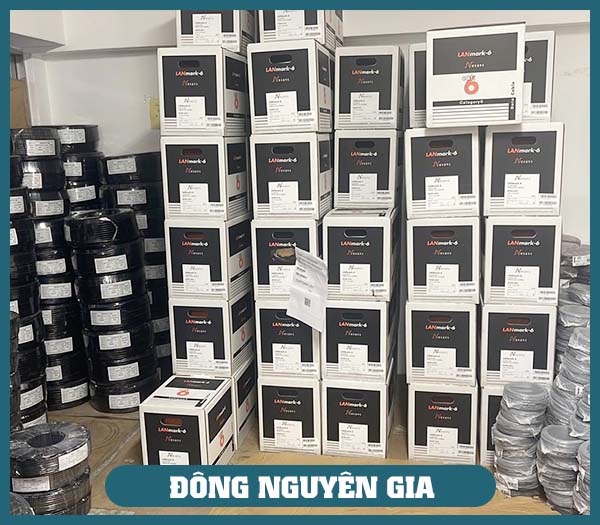 KHO CÁP NHẬP KHẨU ĐÔNG NGUYÊN GIA TẠI TPHCM