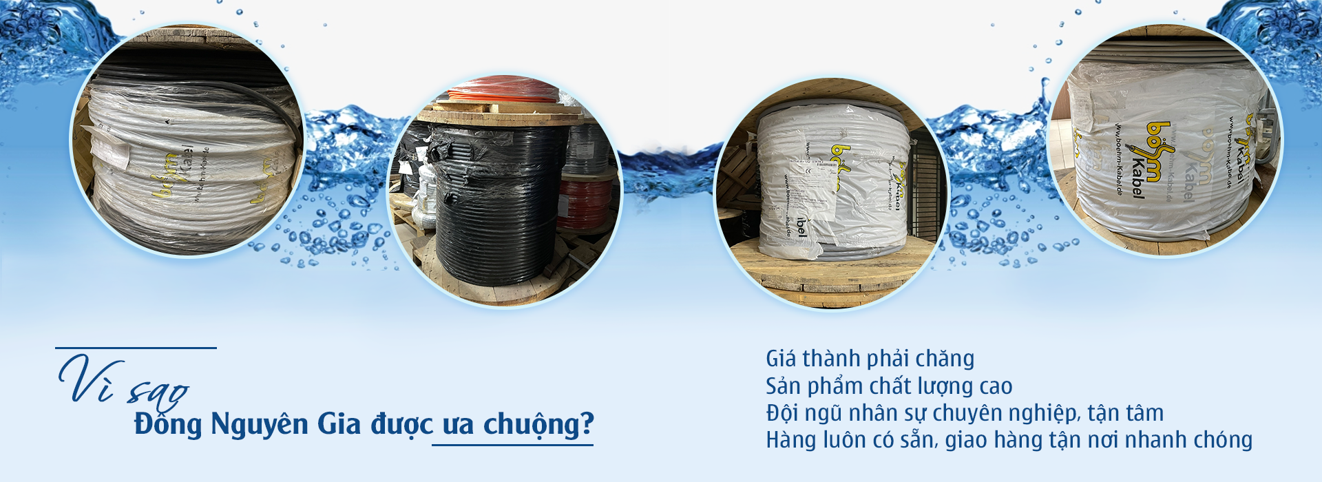 Công Ty TNHH Thương Mại Và Xuất Nhập Khẩu Đông Nguyên Gia