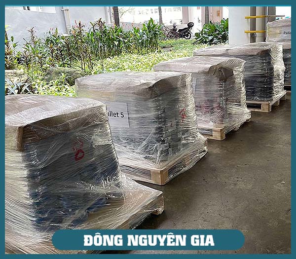 Công Ty TNHH Thương Mại Và Xuất Nhập Khẩu Đông Nguyên Gia