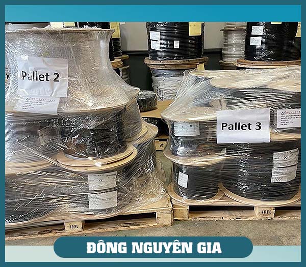 Công Ty TNHH Thương Mại Và Xuất Nhập Khẩu Đông Nguyên Gia