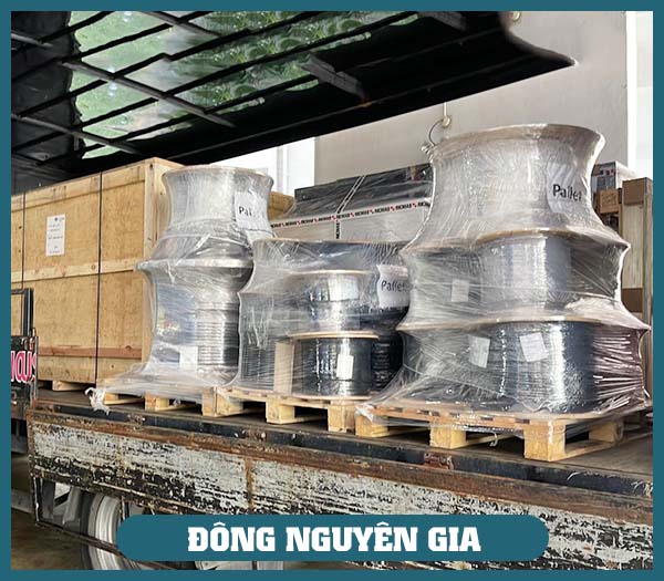 Công Ty TNHH Thương Mại Và Xuất Nhập Khẩu Đông Nguyên Gia