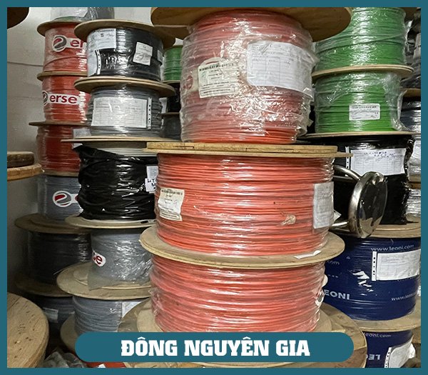 Công Ty TNHH Thương Mại Và Xuất Nhập Khẩu Đông Nguyên Gia