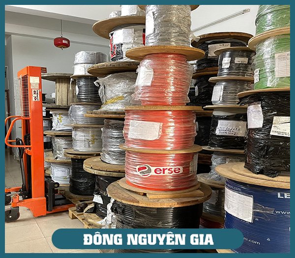 Công Ty TNHH Thương Mại Và Xuất Nhập Khẩu Đông Nguyên Gia